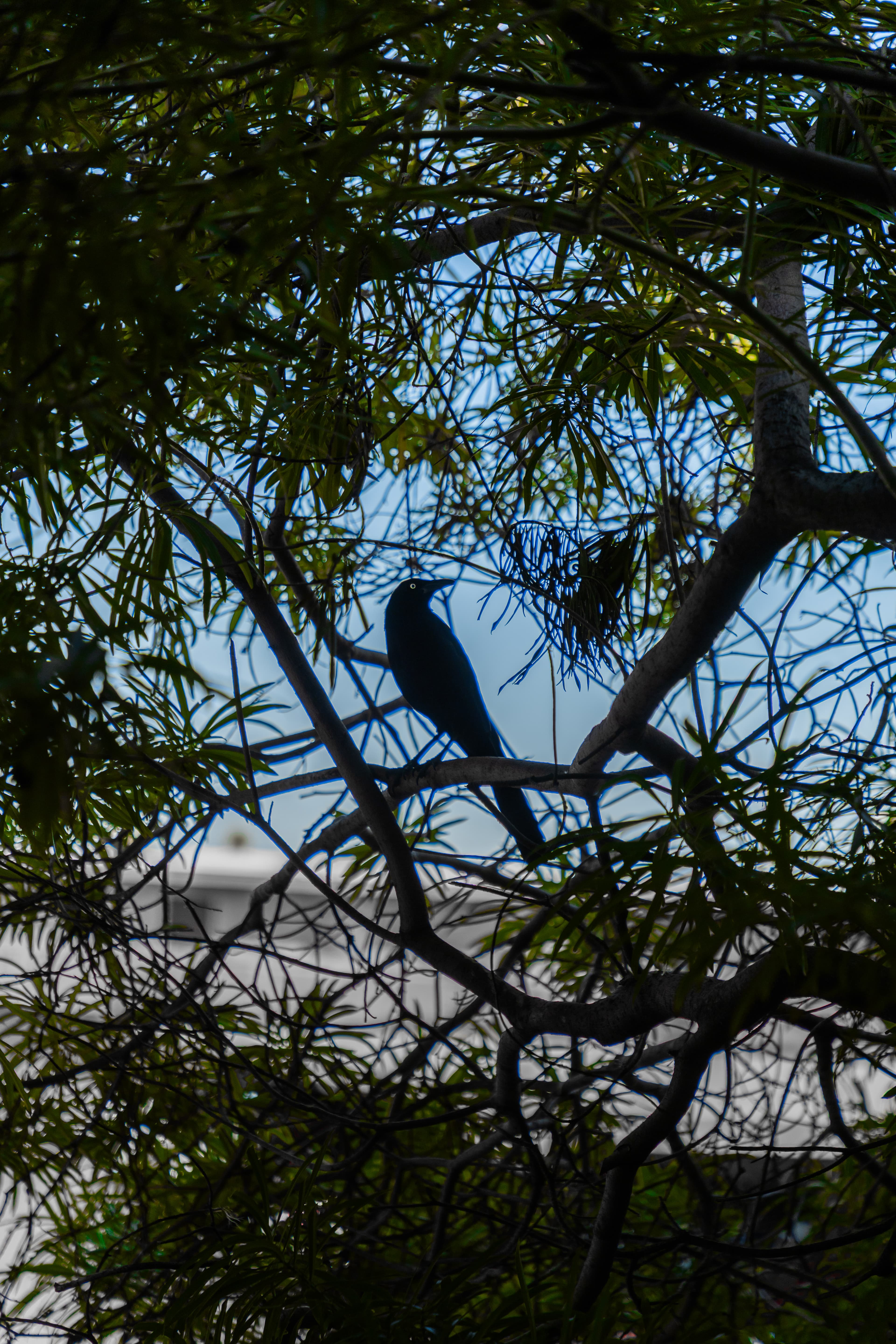 Portfolio - Landscapes