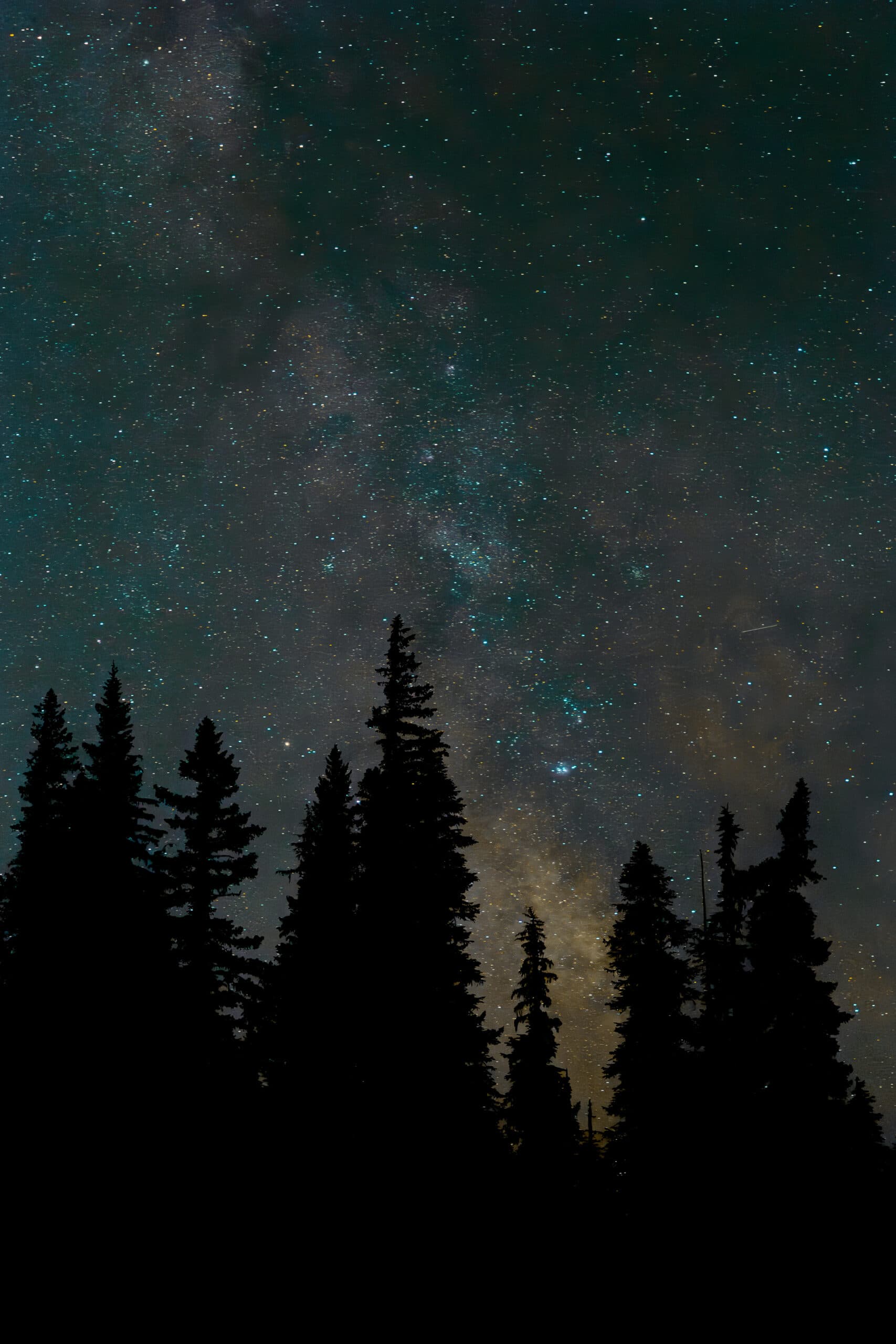 Portfolio - Commercial