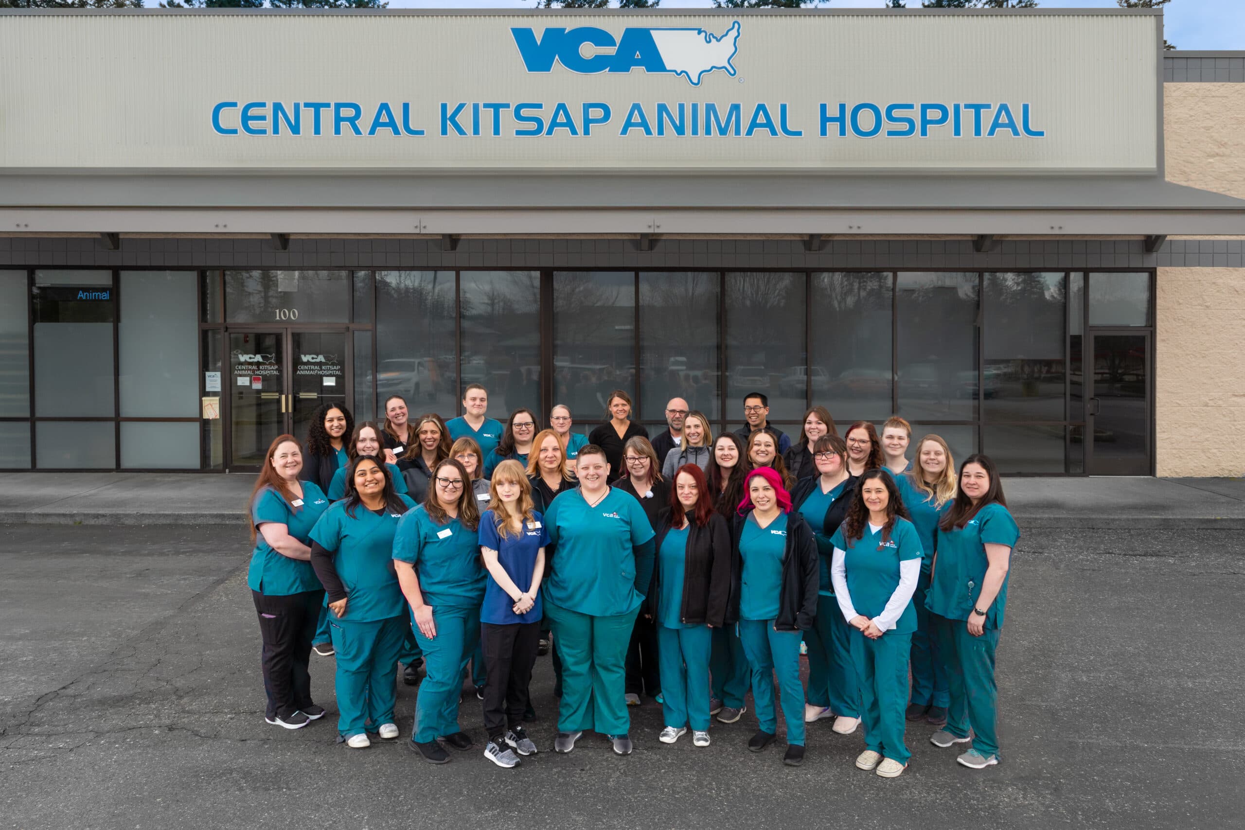 Portfolio - Commercial