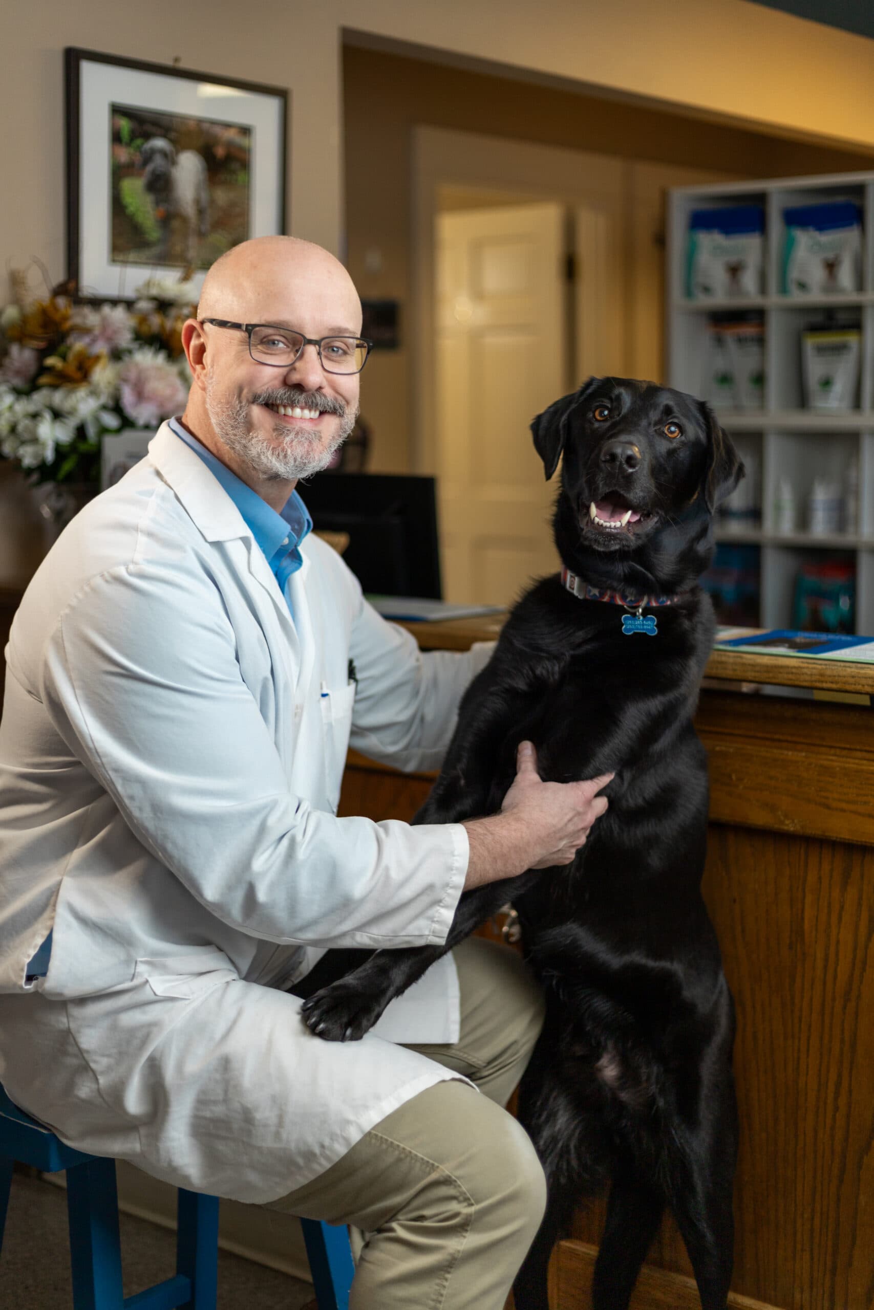 Portfolio - Headshots