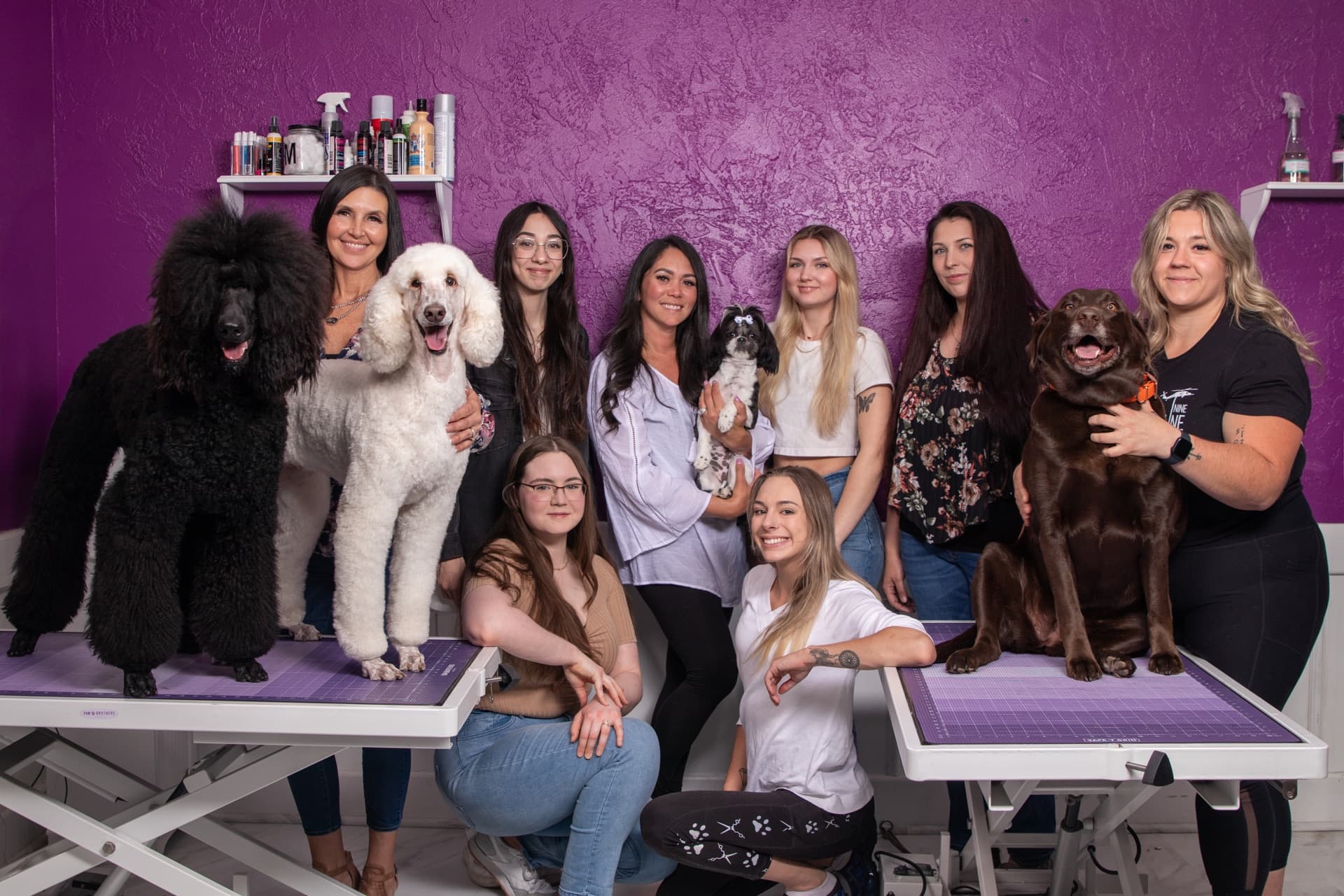 Simply Irresistible Pets — Brand Content, and the Playbook to Sustain It