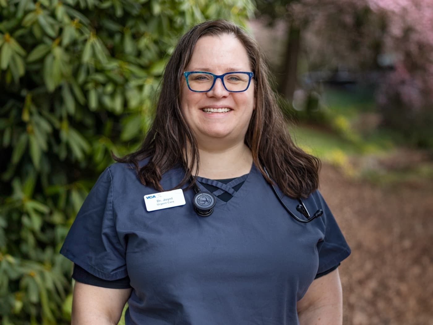 VCA Central Kitsap Animal Hospital — work